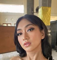 QUEEN MODEL’S SUCKER - Transsexual escort in Bali