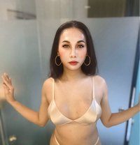 MODEL TYPE FRESH CUMMER JUST LANDED - Transsexual escort in Colombo