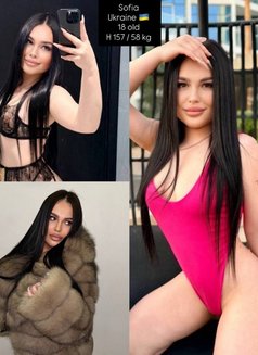 Models 1 Agency - 20+ Girls - escort agency in Dubai Photo 17 of 21