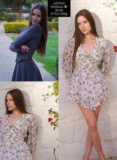 Models 1 Agency - 20+ Girls - escort agency in Dubai Photo 6 of 29