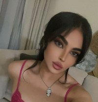 Moha Xxl - Transsexual escort in Dubai