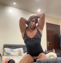 Sissy Dodo - Acompañantes transexual in Cairo