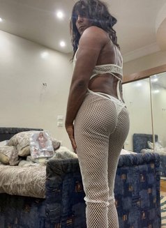 Sissy Dodo - Acompañantes transexual in Cairo Photo 18 of 21