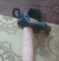 Sahil Sheikh - Male companion in Noida