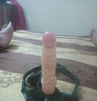 Sahil Sheikh - Male companion in New Delhi