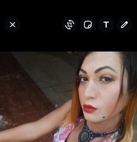 Mohini - Acompañantes transexual in Candolim, Goa