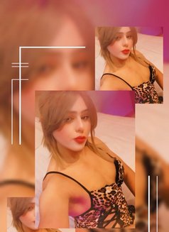 Mohranar - Transsexual escort in Dammam Photo 9 of 9
