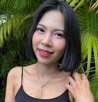 Moji NEW 2500/1hour - escort in Pattaya