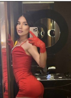 Moliy - Transsexual escort in Al Manama Photo 2 of 3