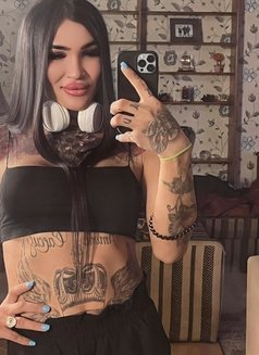 Molli - Acompañantes transexual in İstanbul Photo 5 of 5