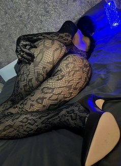 Molli 🇷🇺Top Mistress - Acompañantes transexual in Beirut Photo 9 of 9
