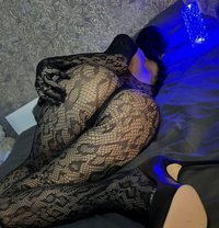 Molli 🇷🇺Top Mistress - Transsexual escort in Doha Photo 2 of 5