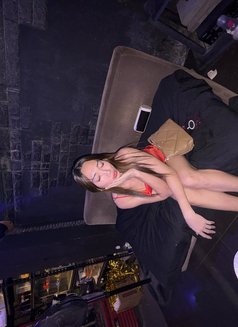 Molly Baby Cumshow - Transsexual escort in Makati City Photo 15 of 16