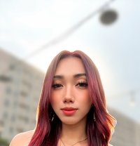 Camshow Molly - Acompañantes transexual in Makati City