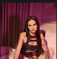 Molly - Acompañantes transexual in Manila