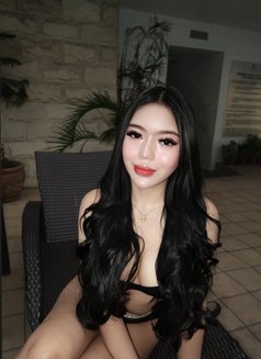 Molly (Escort/VCS/Contents) - escort in Manila Photo 8 of 12