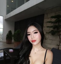 Molly (Escort/VCS/Contents) - escort in Manila