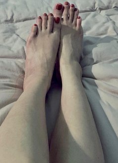 Molly - escort in Singapore Photo 5 of 5