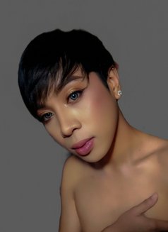 Molly♥︎ - Transsexual escort in Al Ain Photo 11 of 13