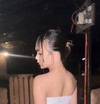 Molly - Transsexual escort in Manila