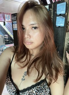Molly - Transsexual escort in Manila Photo 6 of 10