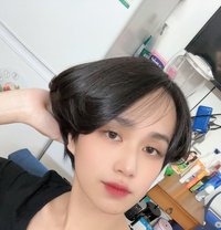 Molly - Transsexual escort in Riyadh