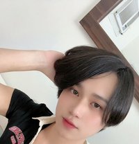 Molly - Transsexual escort in Riyadh