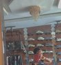 Molly - puta in Hurghada Photo 1 of 6