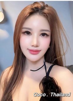 Molly - escort in Bangkok Photo 3 of 3