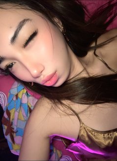 Molly Mistress - Acompañantes transexual in Manila Photo 3 of 7