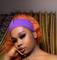 Molly - Acompañantes transexual in Abuja
