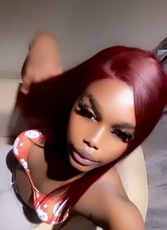 Molly - Transsexual escort in Abuja Photo 3 of 4