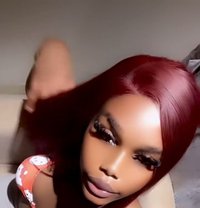 Molly - Transsexual escort in Abuja