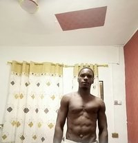 Molly - Male escort in Accra