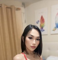 Molly Pretty Party - Transsexual escort in Manila