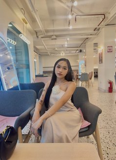 Molly Pretty Party - Transsexual escort in Angeles City Photo 12 of 14