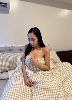 Molly Pretty Party - Acompañantes transexual in Manila Photo 11 of 28