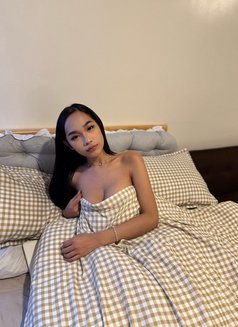 Molly Pretty Party - Acompañantes transexual in Manila Photo 12 of 28