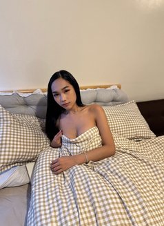 Molly Pretty Party - Acompañantes transexual in Manila Photo 18 of 28