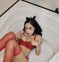 Molly Pretty Party GFE - Acompañantes transexual in Kuala Lumpur