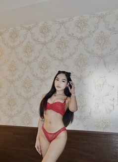 Molly Pretty Party GFE - Acompañantes transexual in Kuala Lumpur Photo 8 of 22