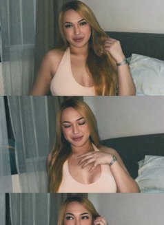 Molly Rose - Acompañantes transexual in Cebu City Photo 4 of 9