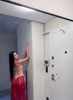 Molly Vi̇p - escort in İstanbul Photo 4 of 7