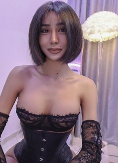 Momo🇹🇭 both 🤫🤐 - Transsexual escort in Bangkok Photo 1 of 8