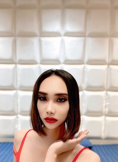 Momo - Transsexual escort in Al Manama Photo 5 of 10