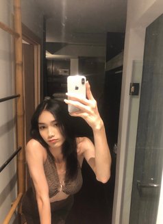 Momo1209 - Transsexual escort in Taipei Photo 5 of 5