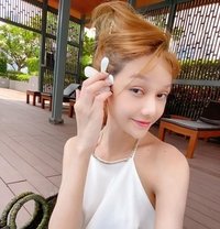 Pattaya escort korean girls🇰🇷 - puta in Pattaya