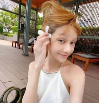 Momokimkorean🇰🇷 - escort in Pattaya