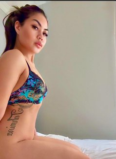 Mona anal sex 🇸🇦Just arrived dammam - escort in Dammam Photo 12 of 13