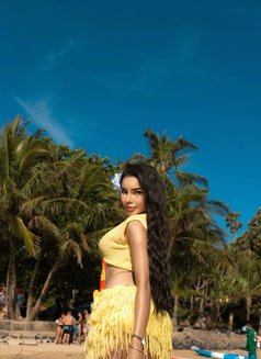 Mona Big ass - Transsexual escort in Phuket Photo 24 of 24